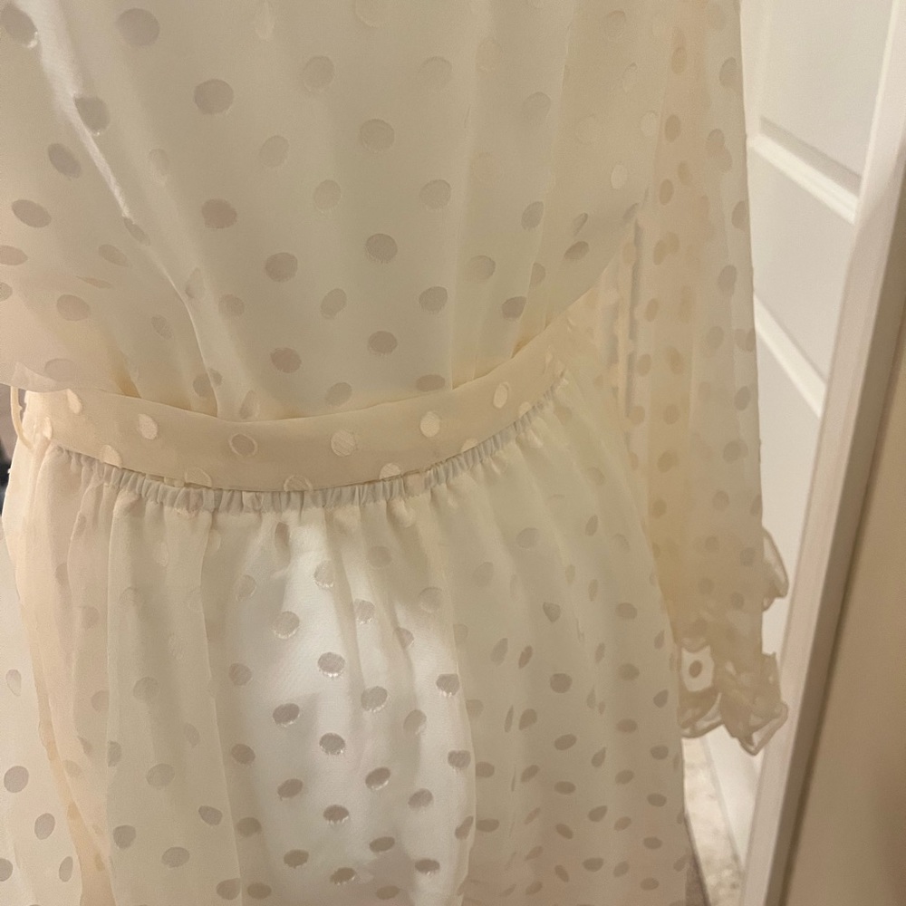Zimmermann sheer dress/skort AUS Sz 2 NWT - Picture 4 of 5